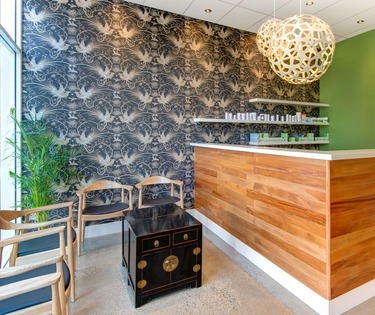 Reception Area of a Contemporary Acupuncture Clinic, Wood Panel Counter, Patterned Feature Wall, and Natural Ligh,t Perfect Vibe for Port Stephens, NSW Clients.;